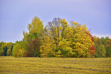 Rural fields in cloudy autumn weather