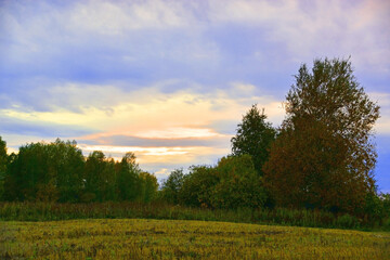 Rural fields in cloudy autumn weather