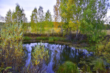 Karst lake in autumn field