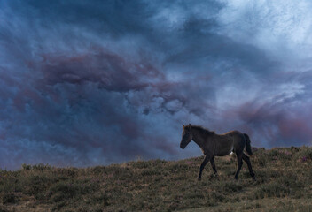 Autumn sunsets in the mountains! © AGUS