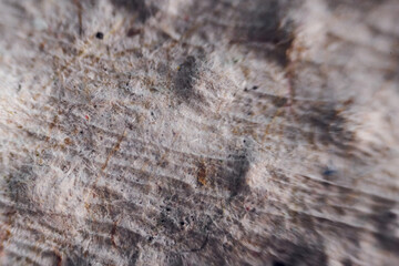Paper sheet under the microscope. Close up view