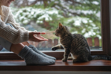 A girl in a sweater and woolen socks stretching out her hands to a gray kitten while sitting on a...