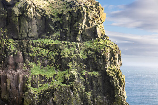 Natural cliffs at Latrabjarg, popular scenic destination in Westfjords Iceland, home to million of birds including puffins