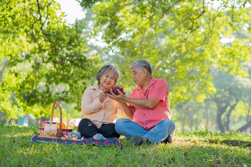 Naklejka na ściany i meble Happy old elderly couple spouses relaxing and sitting on a blanket in the park and sharing few precious memories. Senior couple having great time together on a picnic. concept of mature relationships