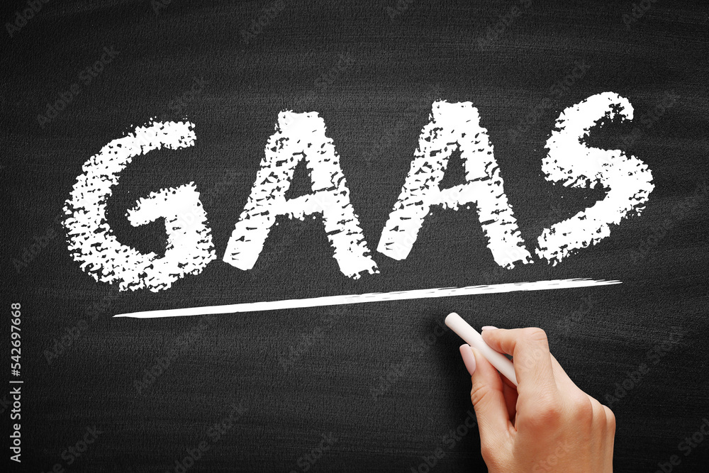 Aufkleber gaas generally accepted audit standards - set of systematic guidelines used by auditors when conduct