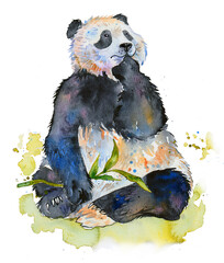 Cute panda eating bamboo, watercolor illustration