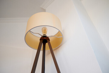 floor lamp shade with a light bulb