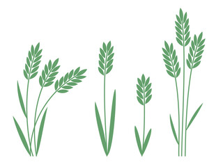 Set of meadow grass, vector cereals, wild flowers