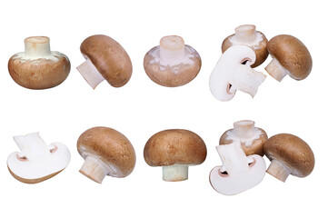 Set fresh champignon mushrooms isolated on white background with PNG.