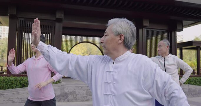 Cheerful senior Chinese adult practicing Tai Chi in the park,4K