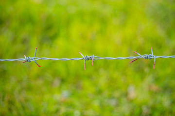 barbed wire fence with grass
