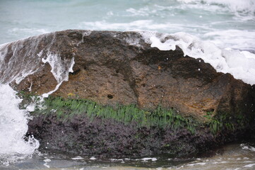 wave over rock