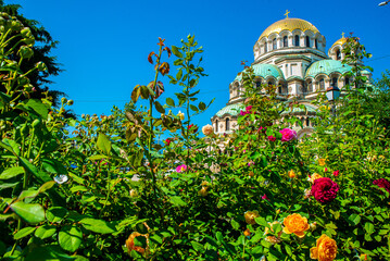 Fleurs devant la Cathédrale Nevski, Sofia, Bulgarie