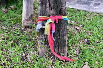 Three colors of cloth tied to the tree are auspicious, consisting of yellow, green and pink, The belief culture that has been with Thai people for a long time believed sacred things resided.
