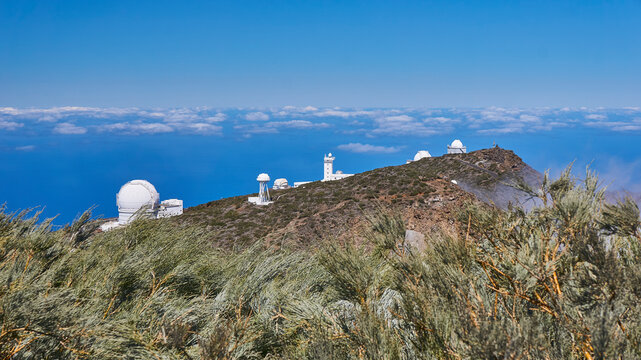 Roque da las muchachos - Powered by Adobe