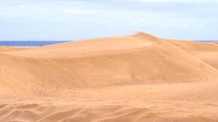 Fototapeta na wymiar Gran Canaria Dunes