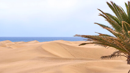 Gran Canaria Dunes