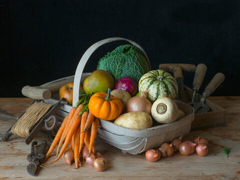 Garden trug full of home-grown fruit and vegetables harvested in autumn. 