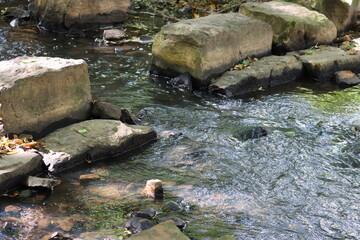 stones in a river in summer