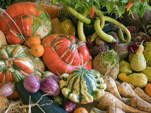 Home-grown fruit and vegetables on display for a harvest festival. 