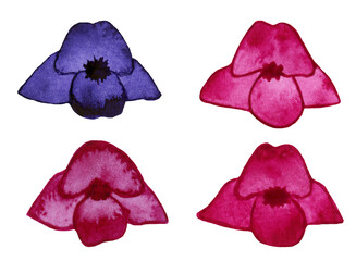 A set of watercolor flowers. Watercolor botanical illustration, isolated on transparent background. For eco design.