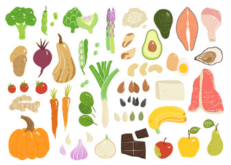 Concept illustration with meat, seafood, sweet fruits and vegetables in vector. Tasty apple, ginger, tomato, squash, beet, carrot, pear and pumpkin, beef, oyster, chicken, chocolate, eggs, potato.