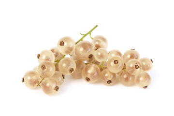 Grappe de groseille blanche