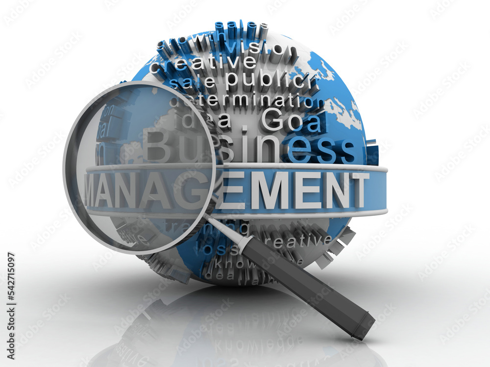 Poster 3d rendering management globe search concept