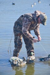 Waterfowl hunter picking up decoys 