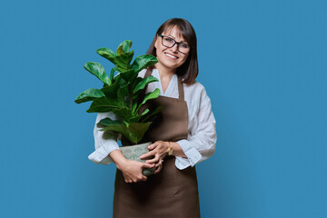 Woman in apron with potted plant, on blue background