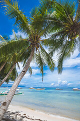 Scenic photo framed by coconut trees tilted towards the beach. Multiple outrigger boats docked near the shore. At Dumaluan Beach in Panglao Island, Bohol, Philippines.