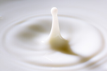 splashing milk drop surface,Macro milk drop,milk drops with ripples,Drop on milk cream dairy product yoghurt milkshake texture swirl graphic design element for packaging flyer ad poster cream splash 