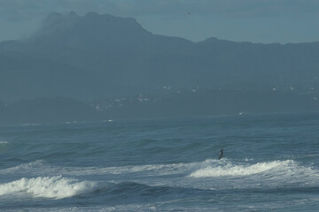 plages de surfeurs
