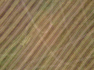 Donaubergland bei Tuttlingen