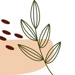 Aesthetic Plant Corner (9)