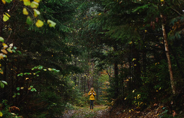 Panoramic cinematic picture of deep moody dark forest with alone hiker girl in yellow raincoat