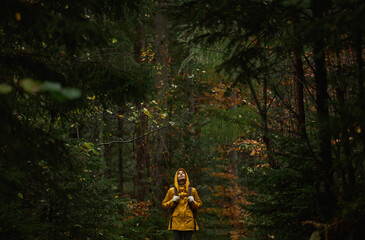 Woman hiker relaxing in green woods, dramatic cinematic panoramic picture of deep scenic moody forest