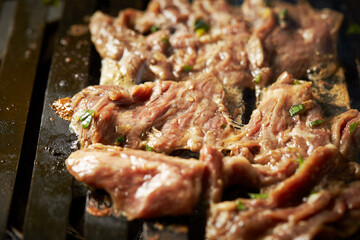 grilled meat on the grill	