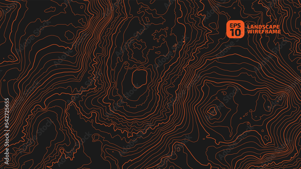 Fototapete the stylized height of the topographic map contour in lines and contours. the concept of a condition