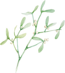 Beautiful png stock illustration with watercolor Christmas mistletoe plant.