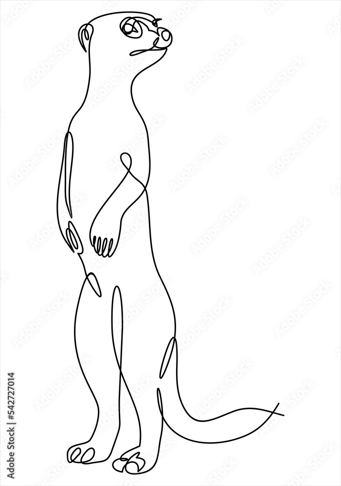 Poster meerkat line icon concept. continuous one line drawing.