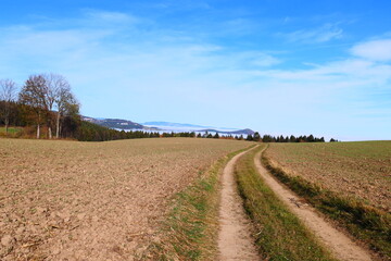 Herbstmorgen in der Buckligen Welt