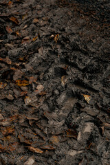 dark muddy road background with tire traces, dirty ground and autumn leaves