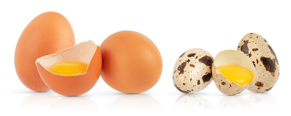 Set of chicken and quail eggs  with broken one