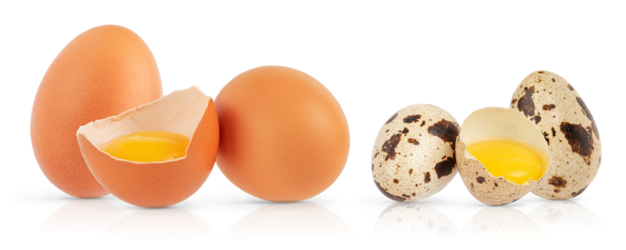 Set of chicken and quail eggs  with broken one