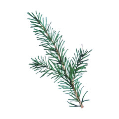 Christmas tree green branch watercolor hand drawn element isolated png