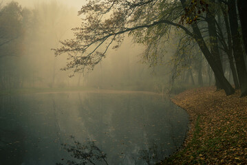 Mgielny staw © P.M.Photo