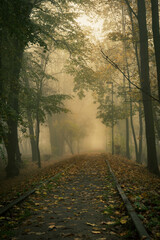 Jesienna tory © P.M.Photo