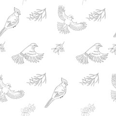 Fototapeta na wymiar Seamless Pattern with Birds. Line Art Ornament.