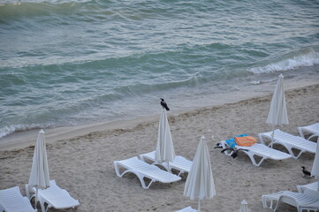Fototapeta na wymiar beach chair, umbrella and bird 